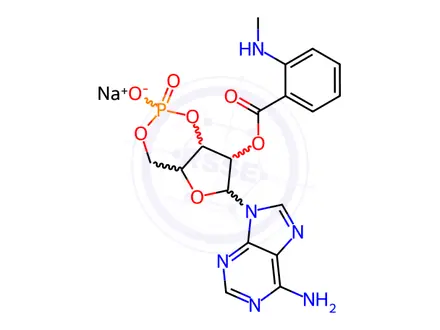 Chemical structure of Mant-Camp