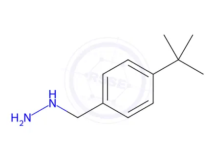 Chemical structure of (4-(Tert-butyl)benzyl)hydrazine