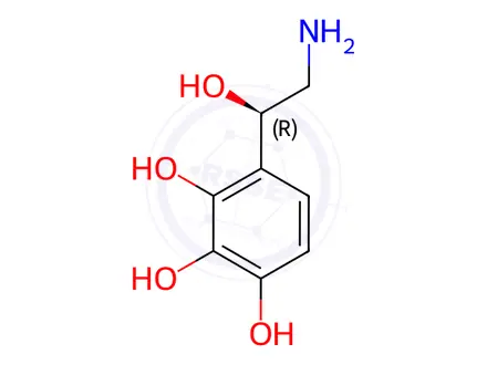 Chemical structure of (R)-4-(2-Amino-1-hydroxyethyl)benzene-1,2,3-triol