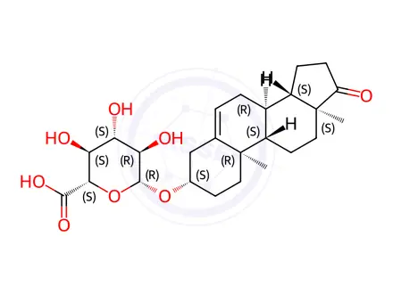 Chemical structure of Dehydroepiandrosterone Glucuronide