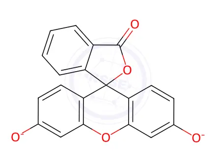 Chemical structure of 3',6'-Dihydroxy-3H-spiro[isobenzofuran-1,9'-xanthen]-3-one, potassium salt