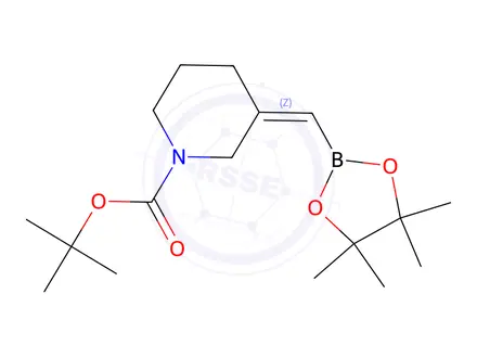 Chemical structure of tert-Butyl (Z)-3-((4,4,5,5-tetramethyl-1,3,2-dioxaborolan-2-yl)methylene)piperidine-1-carboxylate