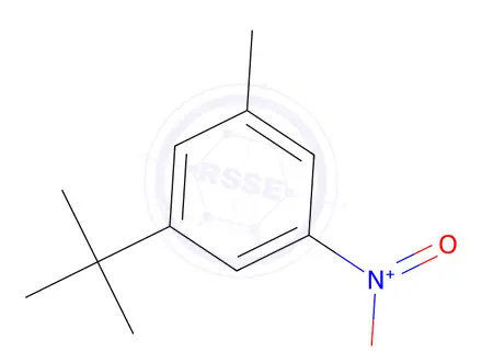 Chemical structure of 1-tert-Butyl-3-methyl-5-nitrobenzene