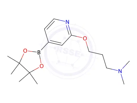 Chemical structure of N,N-Dimethyl-3-((4-(4,4,5,5-tetramethyl-1,3,2-dioxaborolan-2-yl)pyridin-2-yl)oxy)propan-1-amine