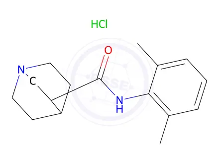 Chemical structure of Quinuclidine-3-carboxylic acid 2',6'-xylidide hydrochloride