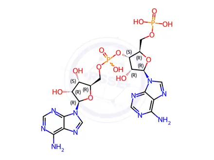 Chemical structure of PAPA