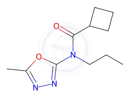 Chemical structure of N-(5-Methyl-1,3,4-oxadiazol-2-yl)-N-propylcyclobutanecarboxamide