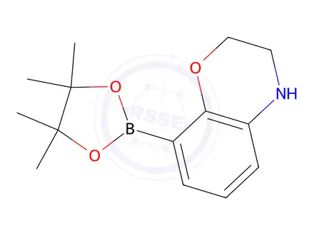 Chemical structure of 8-(Tetramethyl-1,3,2-dioxaborolan-2-yl)-3,4-dihydro-2H-1,4-benzoxazine