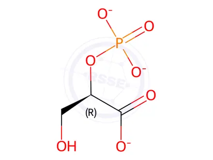 Chemical structure of D-(+)-2-Phosphoglyceric Acid Sodium Hydrate