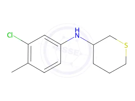 Chemical structure of n-(3-Chloro-4-methylphenyl)tetrahydro-2h-thiopyran-3-amine