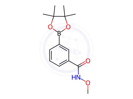 Chemical structure of N-Methoxy-3-(4,4,5,5-tetramethyl-1,3,2-dioxaborolan-2-yl)benzamide