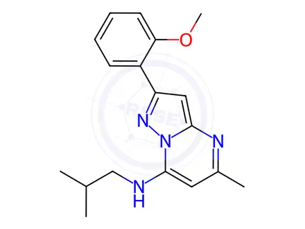 Chemical structure of N-Isobutyl-2-(2-methoxyphenyl)-5-methylpyrazolo[1,5-a]pyrimidin-7-amine