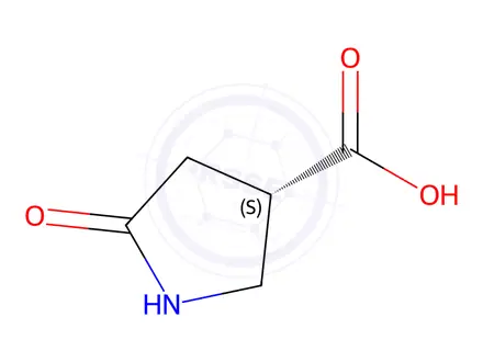 Chemical structure of (3S)-5-oxopyrrolidine-3-carboxylic acid