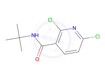 Chemical structure of N-(tert-butyl)-2,6-dichloronicotinamide