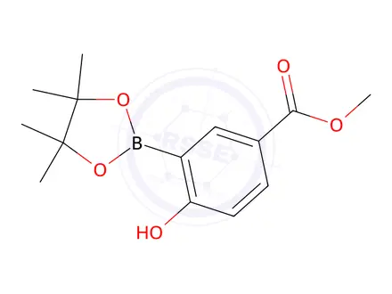 Chemical structure of 4-Hydroxy-3-(4,4,5,5-tetramethyl-[1,3,2]dioxaborolan-2-yl)-benzoic acid methyl ester