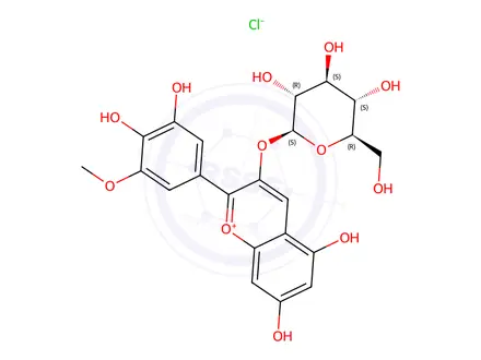 Chemical structure of Pentunidine-3-glucoside chloride