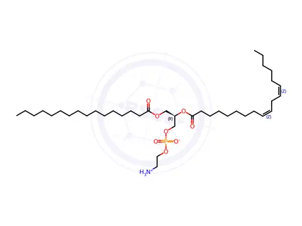 Chemical structure of 16:0-18:2 PE