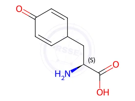 Chemical structure of Glycyl Tyrosine Impurity 16