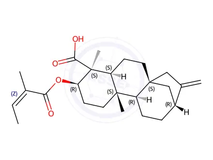 Chemical structure of ent-3β-Angeloyloxykaur-16-en-19-oic acid