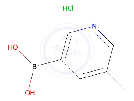 Chemical structure of 5-Methylpyridine-3-boronic acid hydrochloride