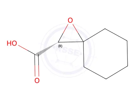 Chemical structure of 1-Oxaspiro[2.5]octane-2-carboxylicacid,(R)-(9CI)