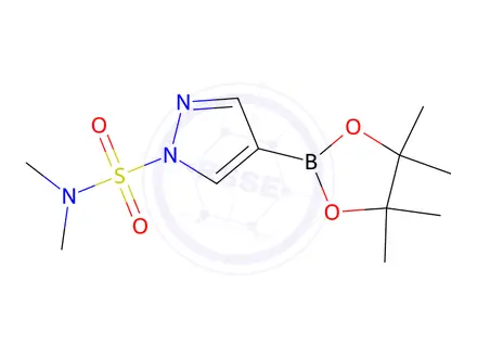 Chemical structure of N,N-dimethyl-4-(4,4,5,5-tetramethyl-1,3,2-dioxaborolan-2-yl)-1H-pyrazole-1-sulfonamide