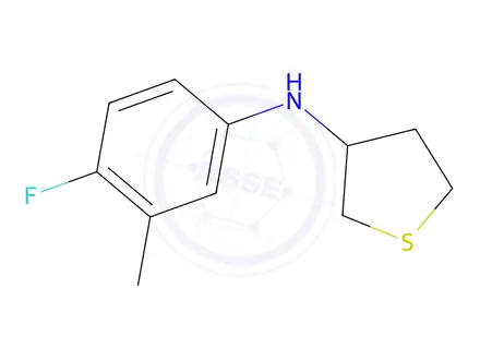 Chemical structure of n-(4-Fluoro-3-methylphenyl)tetrahydrothiophen-3-amine