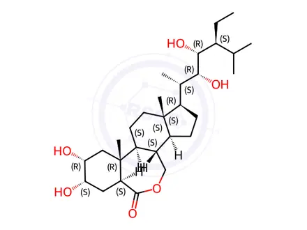 Chemical structure of 28-Homobrassinolide