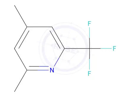 Chemical structure of 2,4-Dimethyl-6-(trifluoromethyl)pyridine