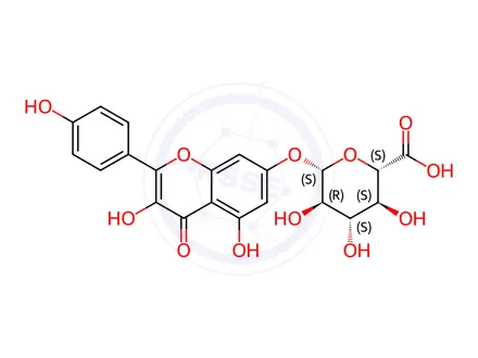 Chemical structure of Kaempferol 7-glucuronide