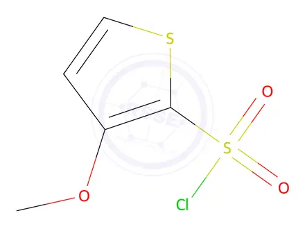 Chemical structure of 3-methoxythiophene-2-sulfonyl chloride