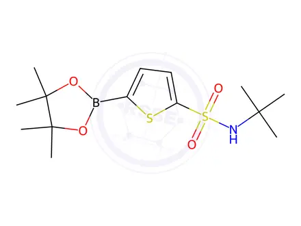 Chemical structure of N-(tert-Butyl)-5-(4,4,5,5-tetramethyl-1,3,2-dioxaborolan-2-yl)thiophene-2-sulfonamide