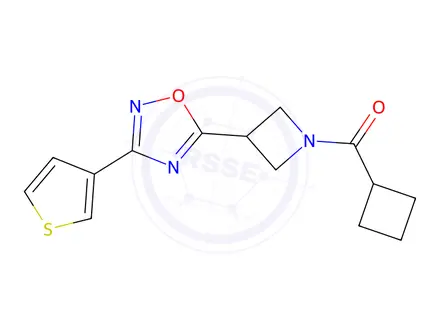 Chemical structure of Cyclobutyl(3-(3-(thiophen-3-yl)-1,2,4-oxadiazol-5-yl)azetidin-1-yl)methanone