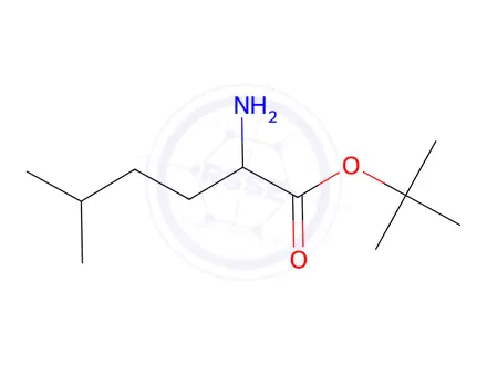 Chemical structure of tert-Butyl 2-amino-5-methylhexanoate