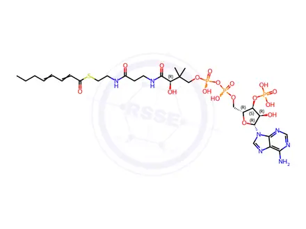 Chemical structure of Coenzyme A Impurity 21