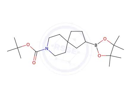 Chemical structure of Tert-butyl 2-(4,4,5,5-tetramethyl-1,3,2-dioxaborolan-2-yl)-8-azaspiro[4.5]Decane-8-carboxylate