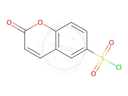 Chemical structure of Coumarin-6-sulfonyl Chloride