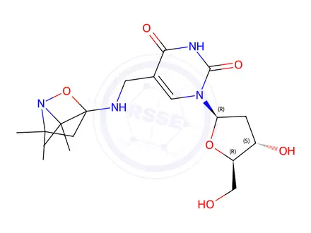 Chemical structure of 5-(((2,2,5,5-tetramethyl-1-oxy-3-pyrrolidinyl)amino)methyl)-2'-deoxyuridine