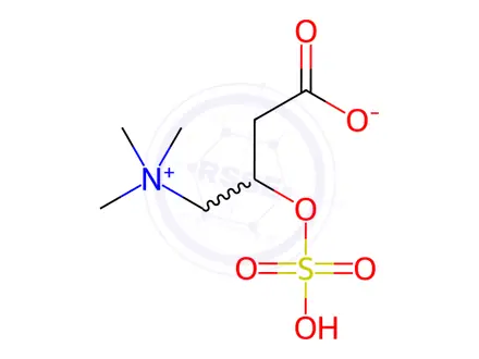 Chemical structure of 3-(sulfooxy)-4-(trimethylammonio)butanoate