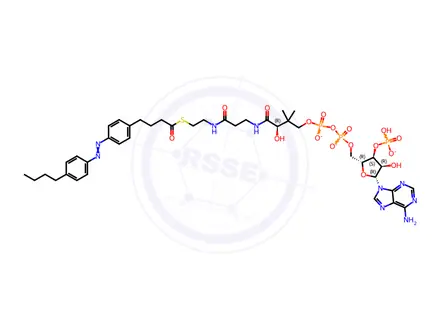 Chemical structure of Azo Coenzyme A