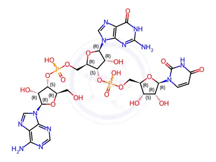 Chemical structure of uridylyl-(5'->3')-guanylyl-(5'->3')-adenosine