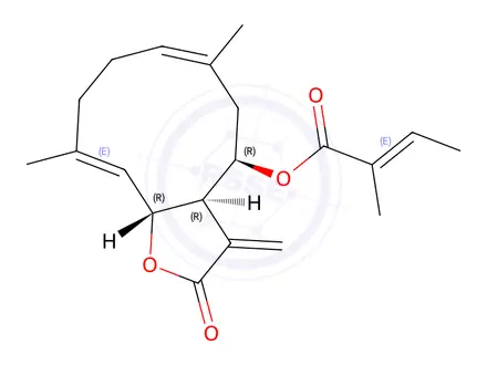 Chemical structure of 8β-Tigloyloxycostunolide