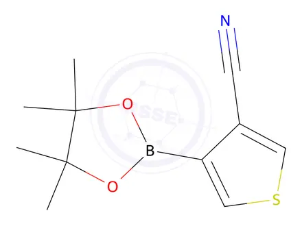 Chemical structure of 4-(4,4,5,5-Tetramethyl-1,3,2-dioxaborolan-2-yl)thiophene-3-carbonitrile