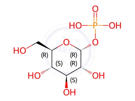 Chemical structure of Glucose 1-phosphate