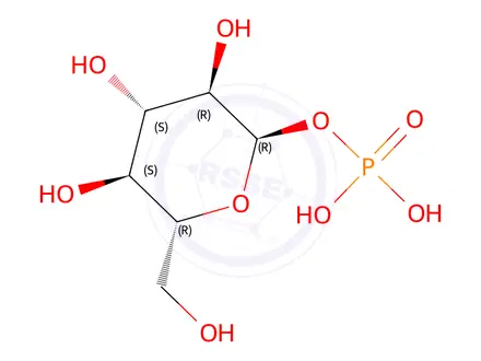 Chemical structure of Amicarbazone Impurity 61