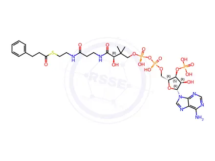 Chemical structure of Coenzyme A Impurity 37 (3-Phenylpropionyl CoA)