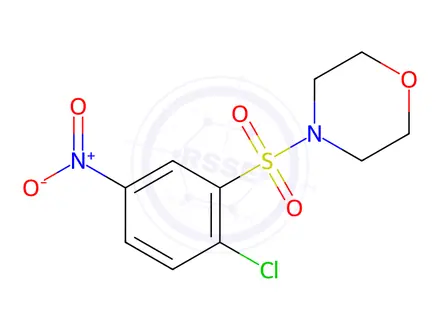 Chemical structure of 4-[(2-Chloro-5-nitrobenzene)sulfonyl]morpholine