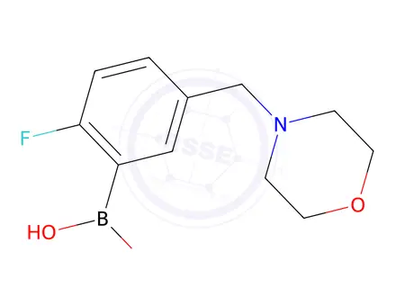 Chemical structure of (2-Fluoro-5-(morpholinomethyl)phenyl)boronic acid