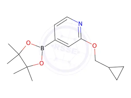 Chemical structure of 2-(Cyclopropylmethoxy)-4-(4,4,5,5-tetramethyl-1,3,2-dioxaborolan-2-yl)pyridine