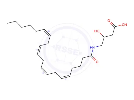 Chemical structure of 3-Hydroxy-4-((5Z,8Z,11Z,14Z)-icosa-5,8,11,14-tetraenamido)butanoic acid